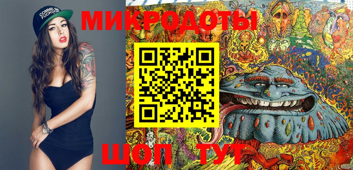 Псилоцибиновые грибы GOLDEN TEACHER  купить закладку  Тихорецк  Вход с VPN  Псилоцибиновые грибы Cubensis 